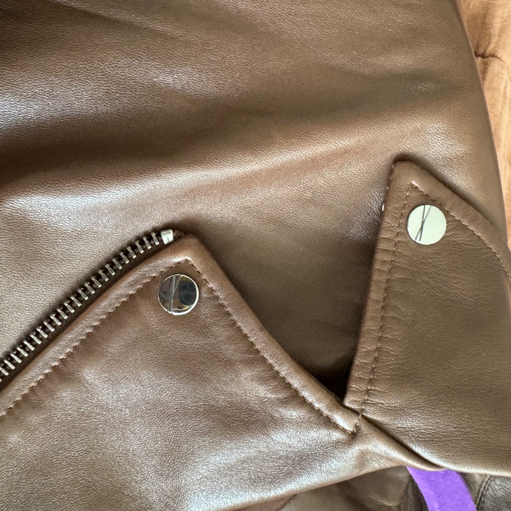 Lamarque Dylan Jacket In Tan - image 8